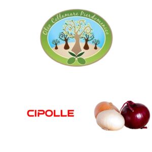 CIPOLLE