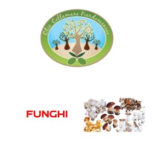 FUNGHI